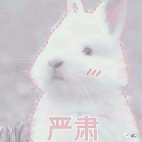 看了这些,更佩服她了