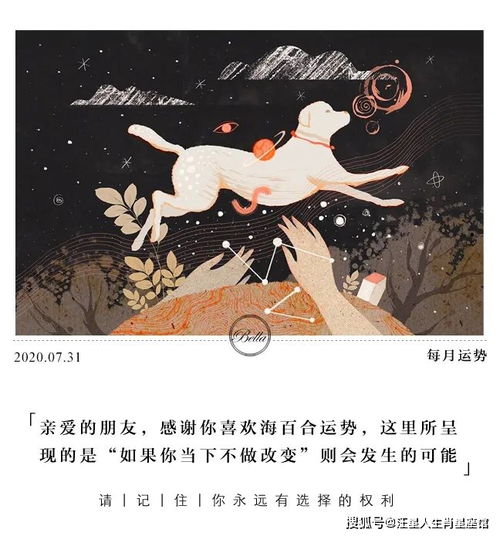 11月运势处女表现出色眼前一亮,射手极具人格魅力人际和谐