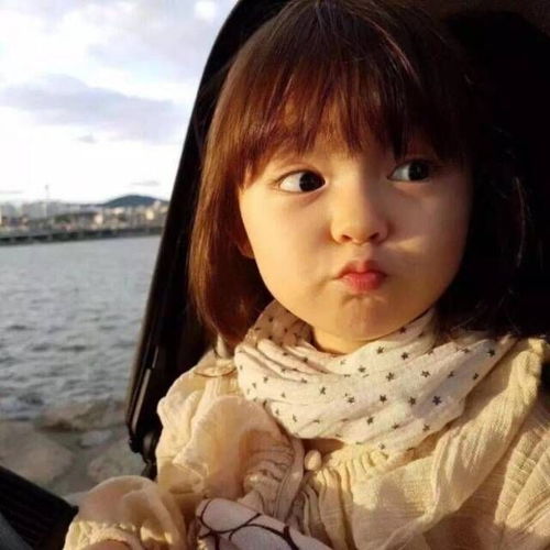 你遇到过哪些蠢萌蠢萌的图像