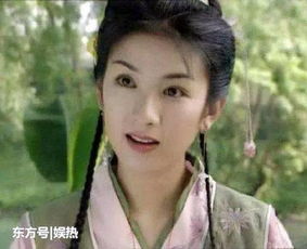 女星有辫子的古装发型,赵丽颖气质高冷,赵薇美成经典