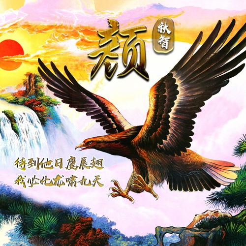 应粉丝要求设计了四十张微信头像,特效连笔艺术签名,请带走吧
