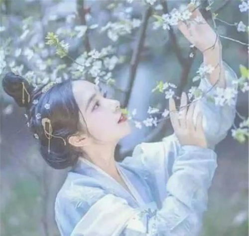 继指尖糖后,又一京味高干文爆红,9.7分稳冲榜单第一