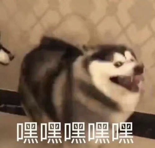 搞笑段子为什么塔吊下面那么多没人喝的冰红茶我捡一瓶应该没人说吧