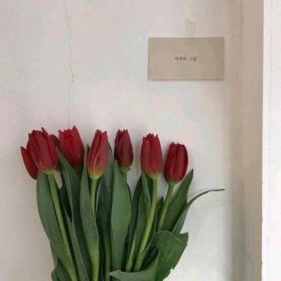 适合女人的花朵头像