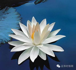 带来幸运好运的女头像