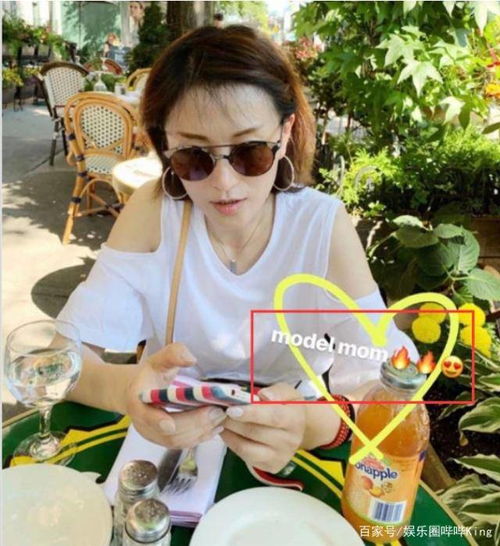 杨子43岁前妻陶虹近照,颜值气质不输黄圣依,女儿杨海润入读哈佛