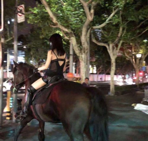 微信头像女生专用头像骑马
