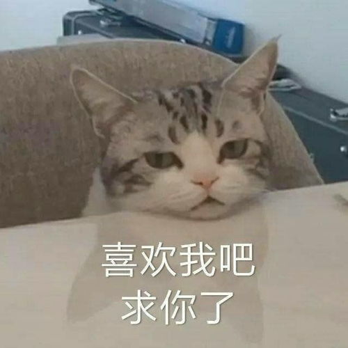 2020初升高战役已打响,史上最详细的暑假学习指南,请注意查收