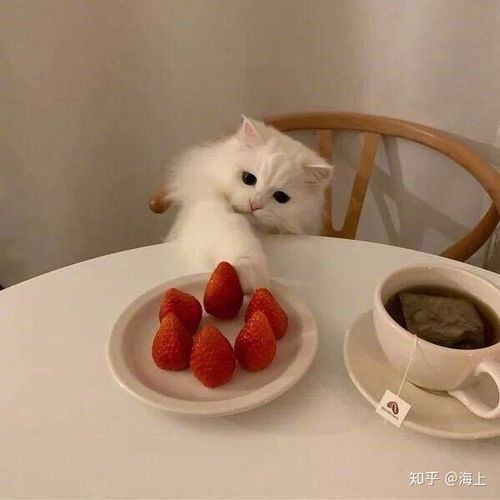 长的丑用可爱头像的女生会遭到嫌弃吗