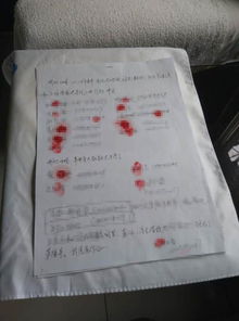 山东一寺庙住持被举报致女居士流产住持否认