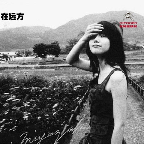 仙人掌头像女孩伤感颓废