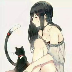 私藏大量猫情头,就差有个男朋友