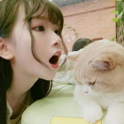 气质温柔甜美的萌头像漂亮女生虚情假意何必自称闺蜜