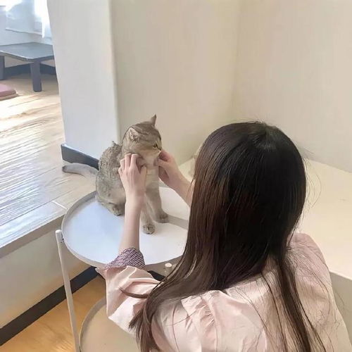 气质背影头像