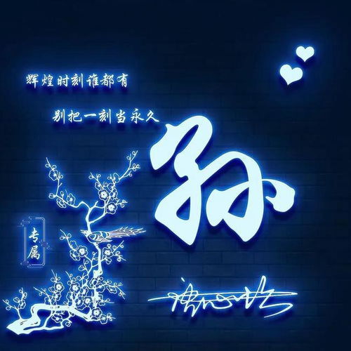 全新的姓氏头像,这样的头像谁不喜欢呢