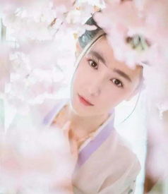 那些男扮女装的男星,侯明昊马天宇惊艳众人,他让人念念不忘