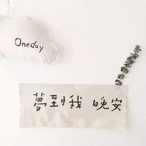 背景不再见了吧,再见太委婉了,不适合你和我