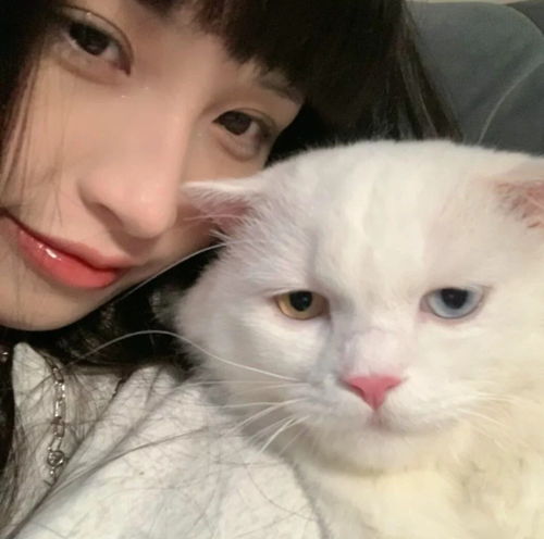 ins纯欲风女头