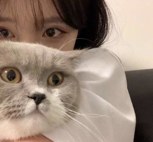 女头丨没有我们你是你我是我