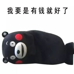 支付宝又有大动作厦门人快去看看你的钱包
