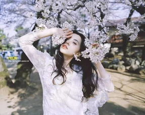 樱花少女头像背景图周迅