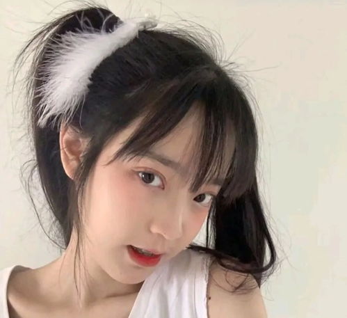 无标题