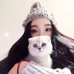 猫咪女头