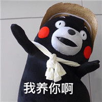 熊本卡通微信头像微信头像图片大全