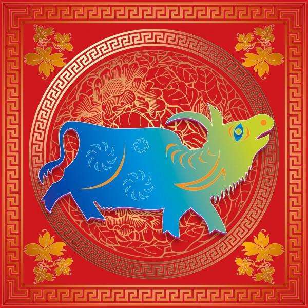属蛇的聪明属猴的精十二生肖各有所长