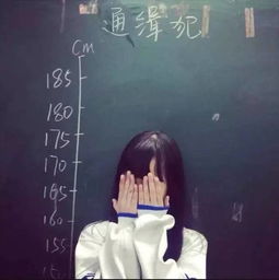头像丨你需要的