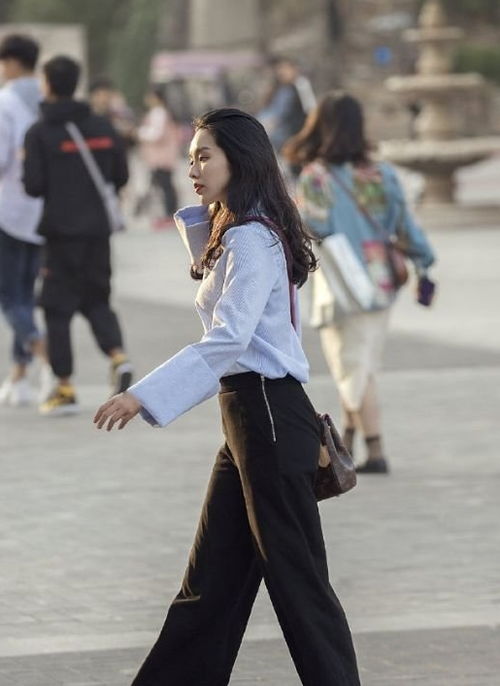 街拍一组城市靓丽气质美女,各各打扮时尚,身材迷人,你喜欢吗