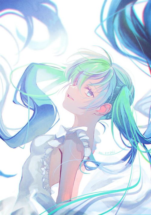 二次元美女福利图17初音未来性感美照