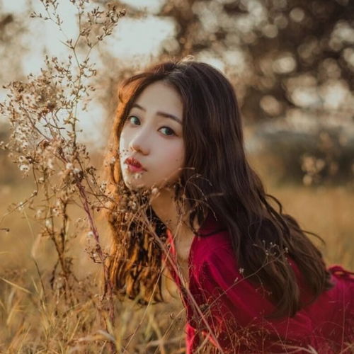 深秋红裙美女图片