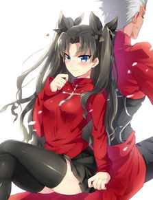 fate御主美图,红色恶魔远坂凛