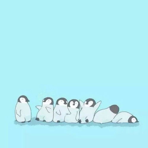死低收物
