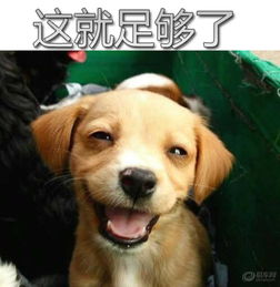 上海社区图片集锦易车