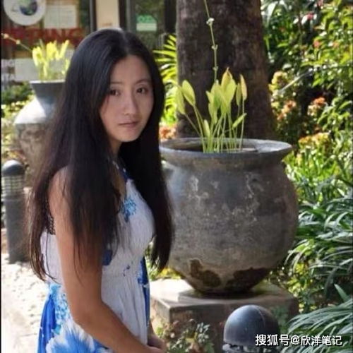 42岁章子怡演不好15岁少女上阳赋编剧希望网络少些戾气