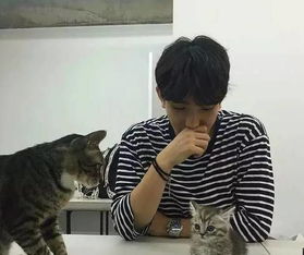 为什么越来越多人不发朋友圈了
