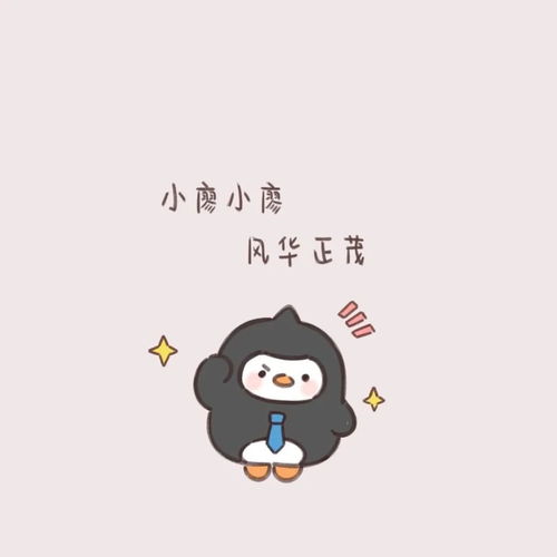 头像姓氏头像第二弹,欢迎收藏
