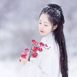 时光惊雪,梅花初见,那些美了千年的诗句