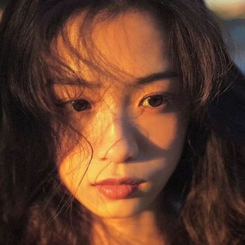 无标题
