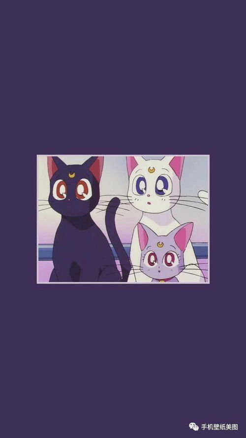 2018抖音最火手机壁纸