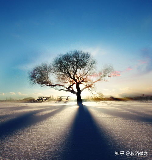 ps怎么把图片中文字清除,但能完整保留文字后面的图片背景