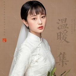 温婉女子工笔画简约唯美系