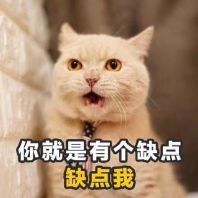撩女朋友专用表情包来了,请注意查收,我们已经错过十余年
