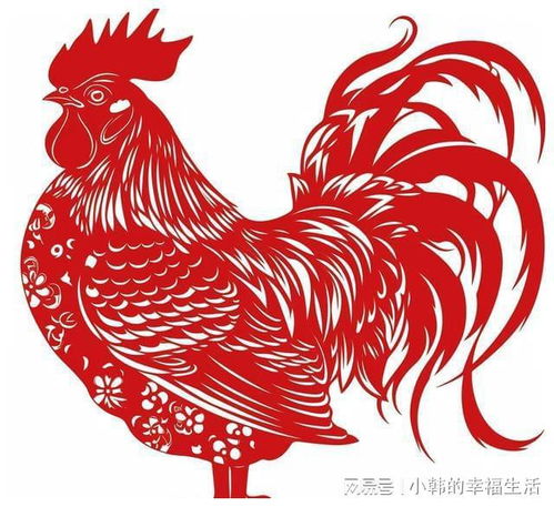夫妻中有一人属鸡,后代多福,子女必成大器,是栋梁之才