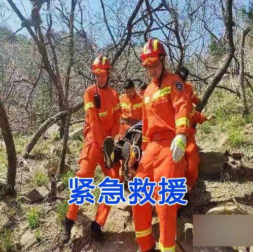 网传某小学老师猥亵少女,即墨区教体局辟谣