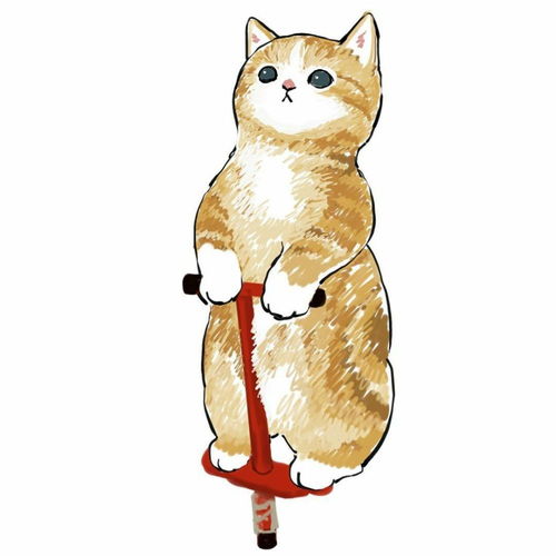 猫猫头像吃货猫和健身猫的日常第二期