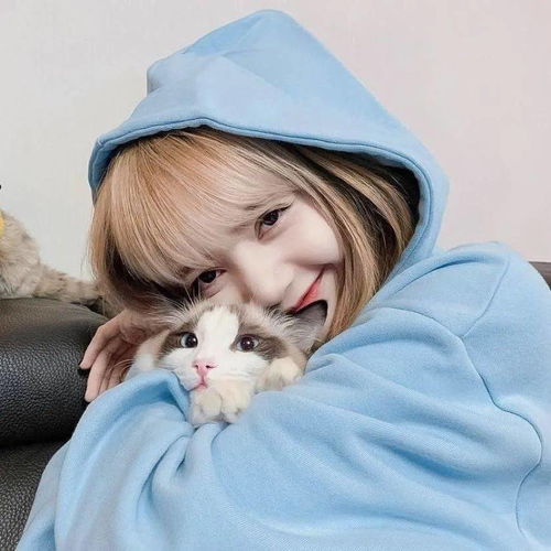 人间理想lisa头像壁纸