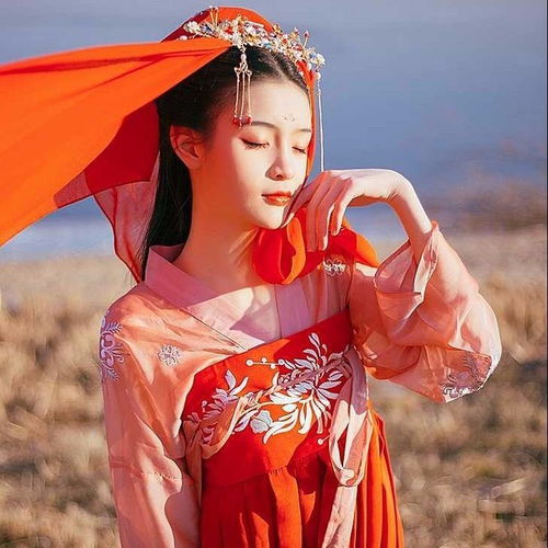 齐胸襦裙唐风古装女汉服广袖流仙裙汉服女锦鲤汉服学生凤花记飘逸
